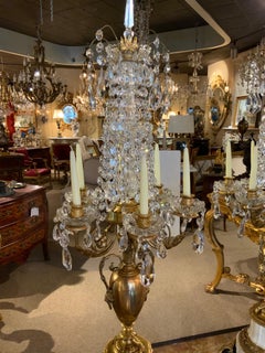 Pair of French 19th C. Torchiers, Gilt Bronze Marble and Crystal