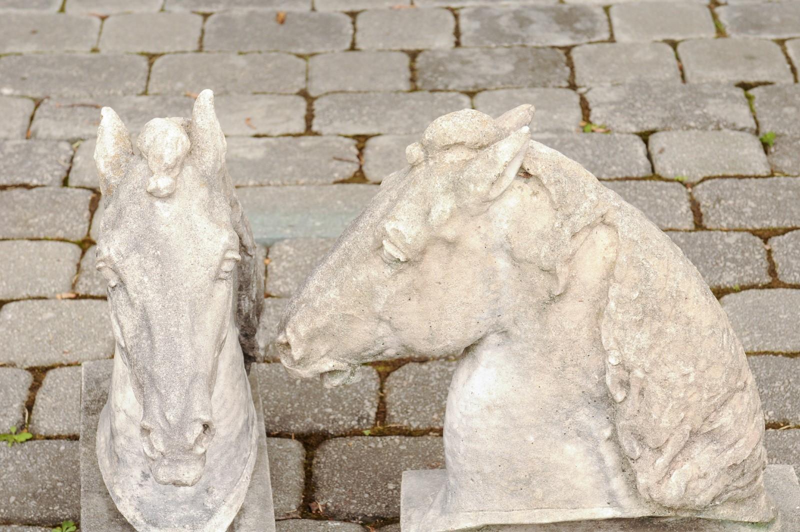 Pair of French 1900s Turn of the Century Carved Stone Horse Head Sculptures 5