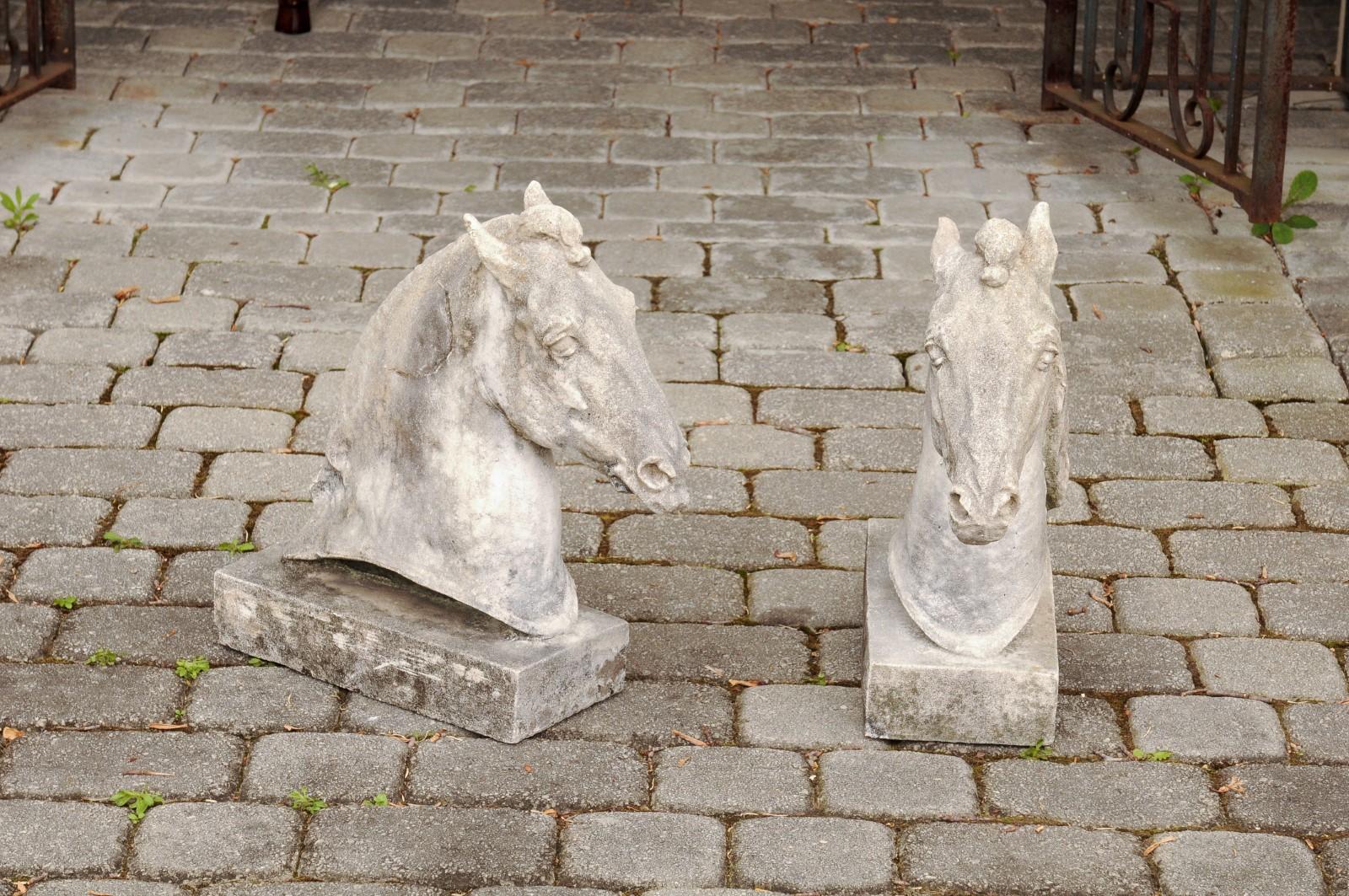 A pair of French carved stone horse head sculptures from the early 20th century, with rectangular bases. Born in France during the Turn of the century, this pair of carved stone horse heads charms our eyes with its energetic presence. Each sculpture