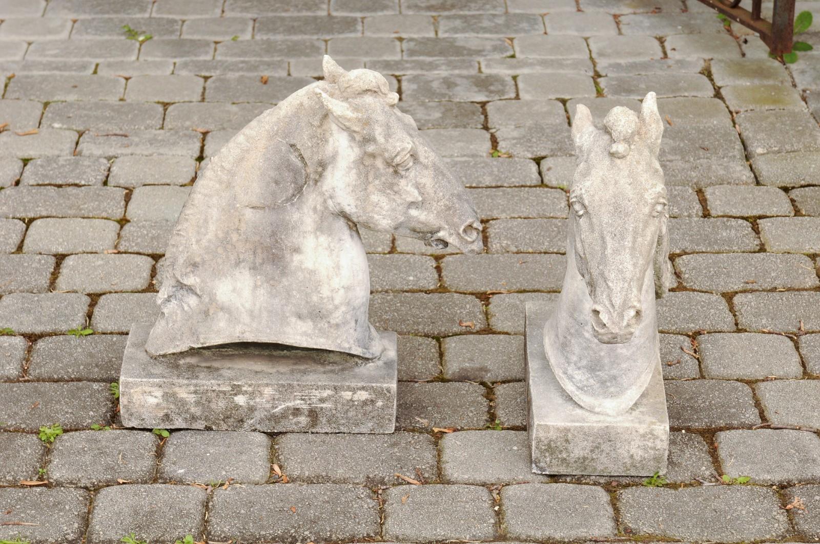 Pair of French 1900s Turn of the Century Carved Stone Horse Head Sculptures 1