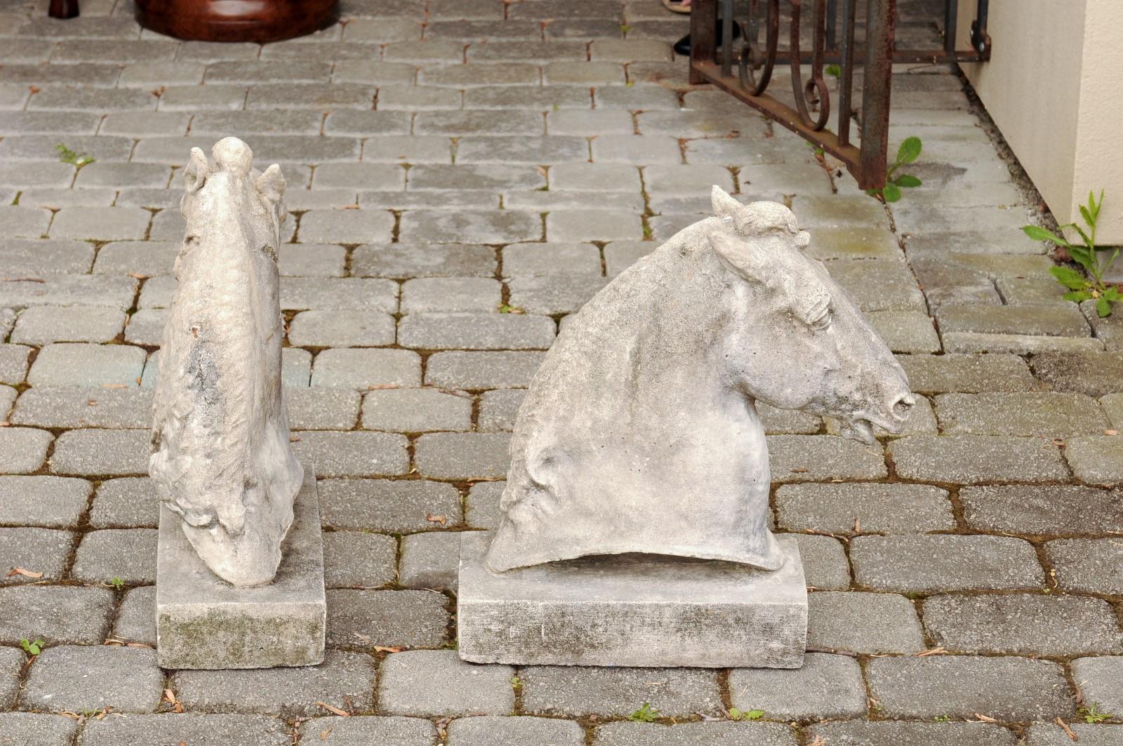 Pair of French 1900s Turn of the Century Carved Stone Horse Head Sculptures 2
