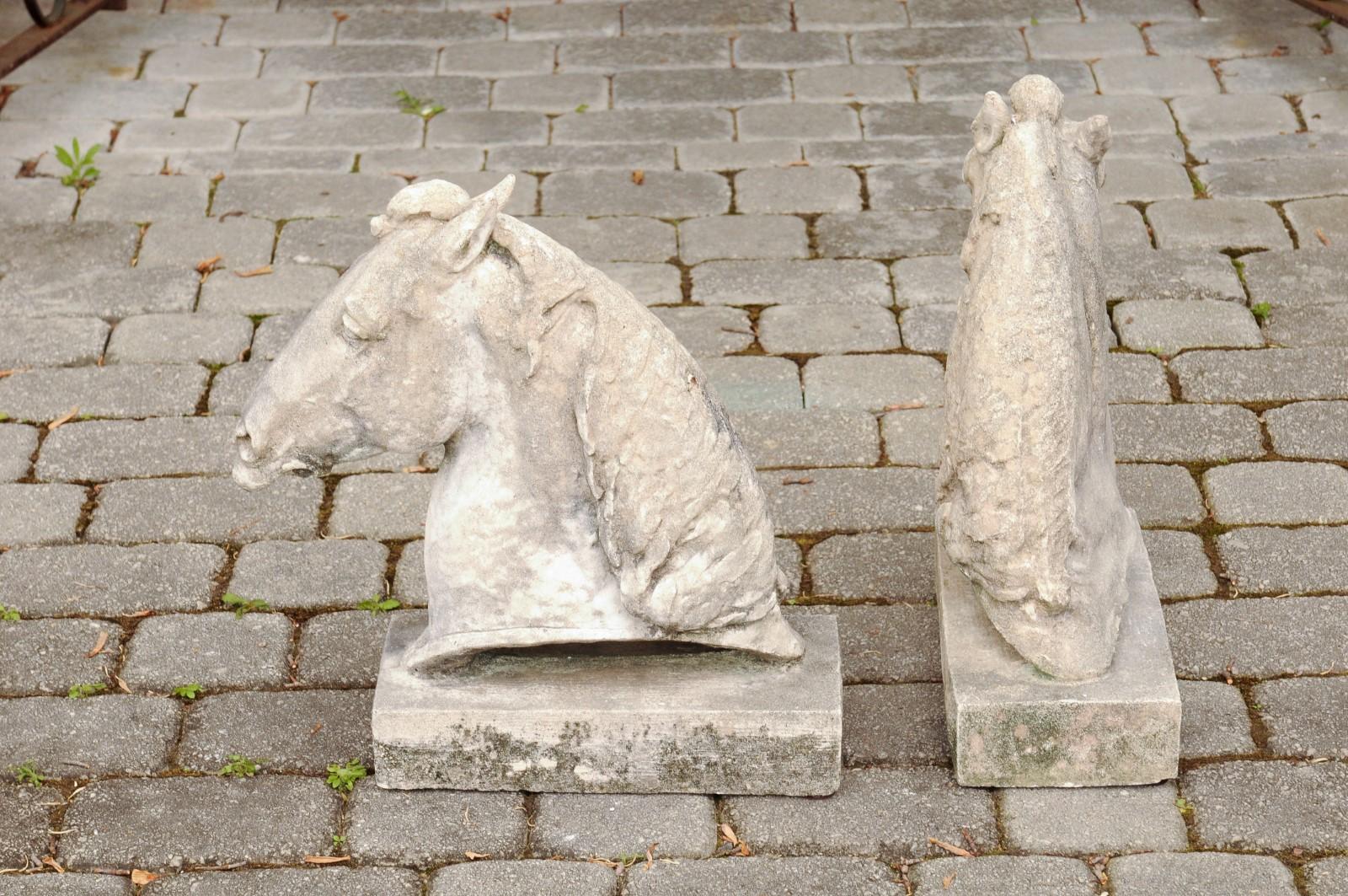 Pair of French 1900s Turn of the Century Carved Stone Horse Head Sculptures 3