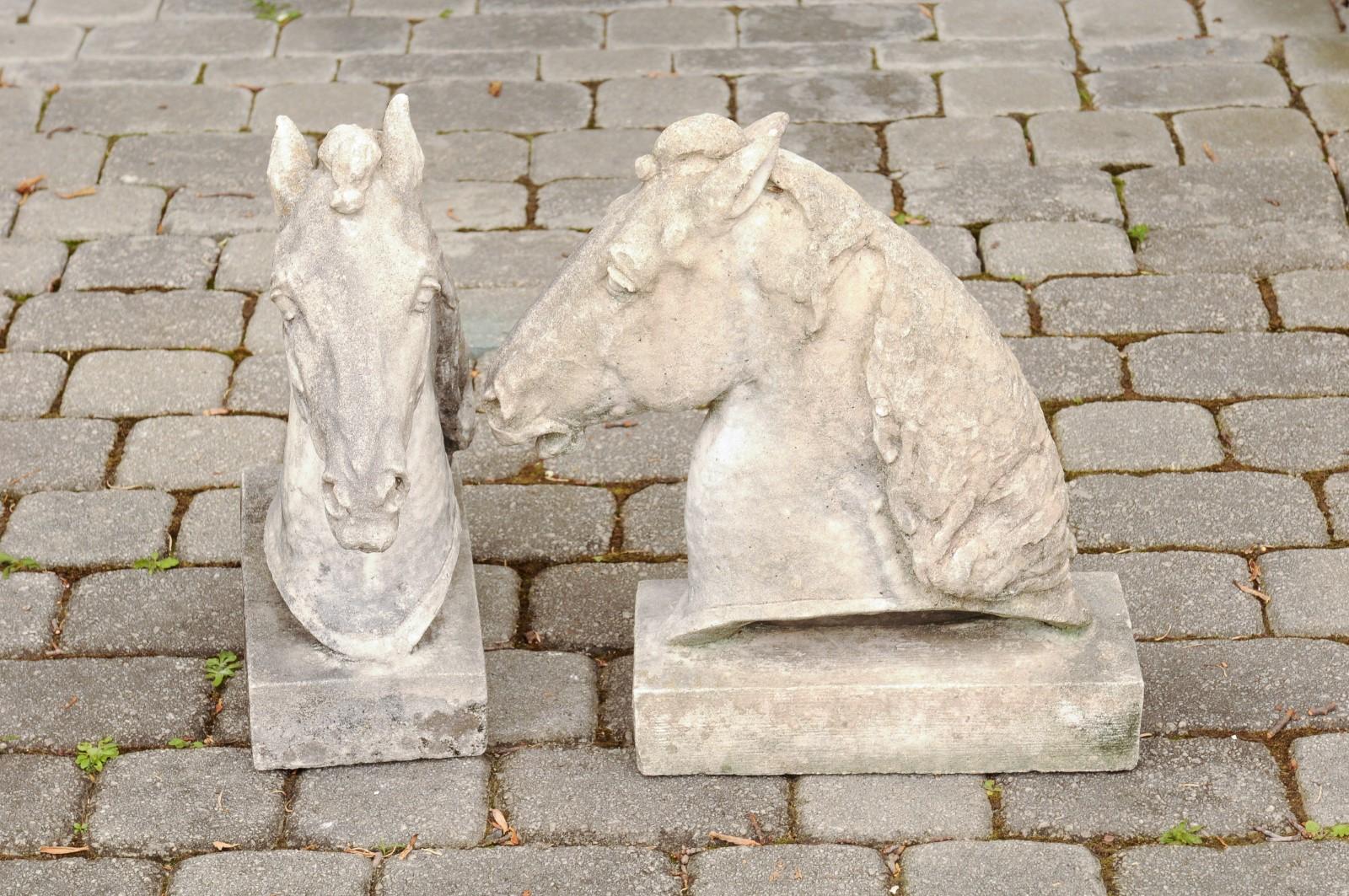 Pair of French 1900s Turn of the Century Carved Stone Horse Head Sculptures 4
