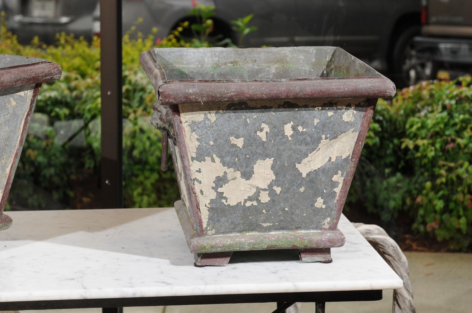19th Century Pair of French 1900s Zinc Planters with Weathered Patina and Lion Head Motifs
