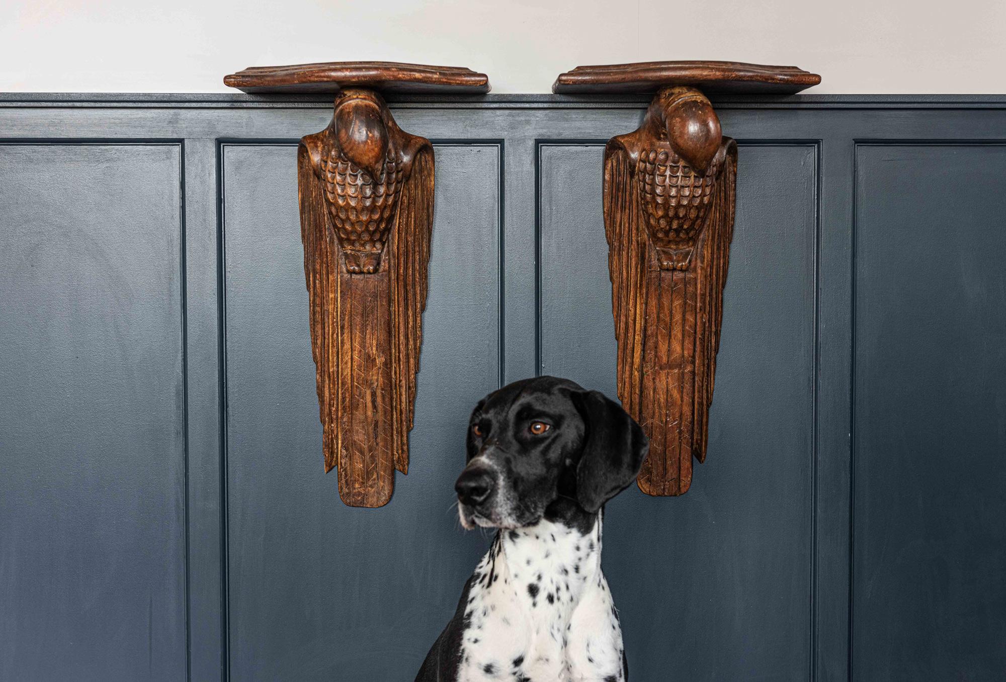 Pair of French 1920s Hand Carved Parrot Wall Shelves, Early 20th Century, 1920 1