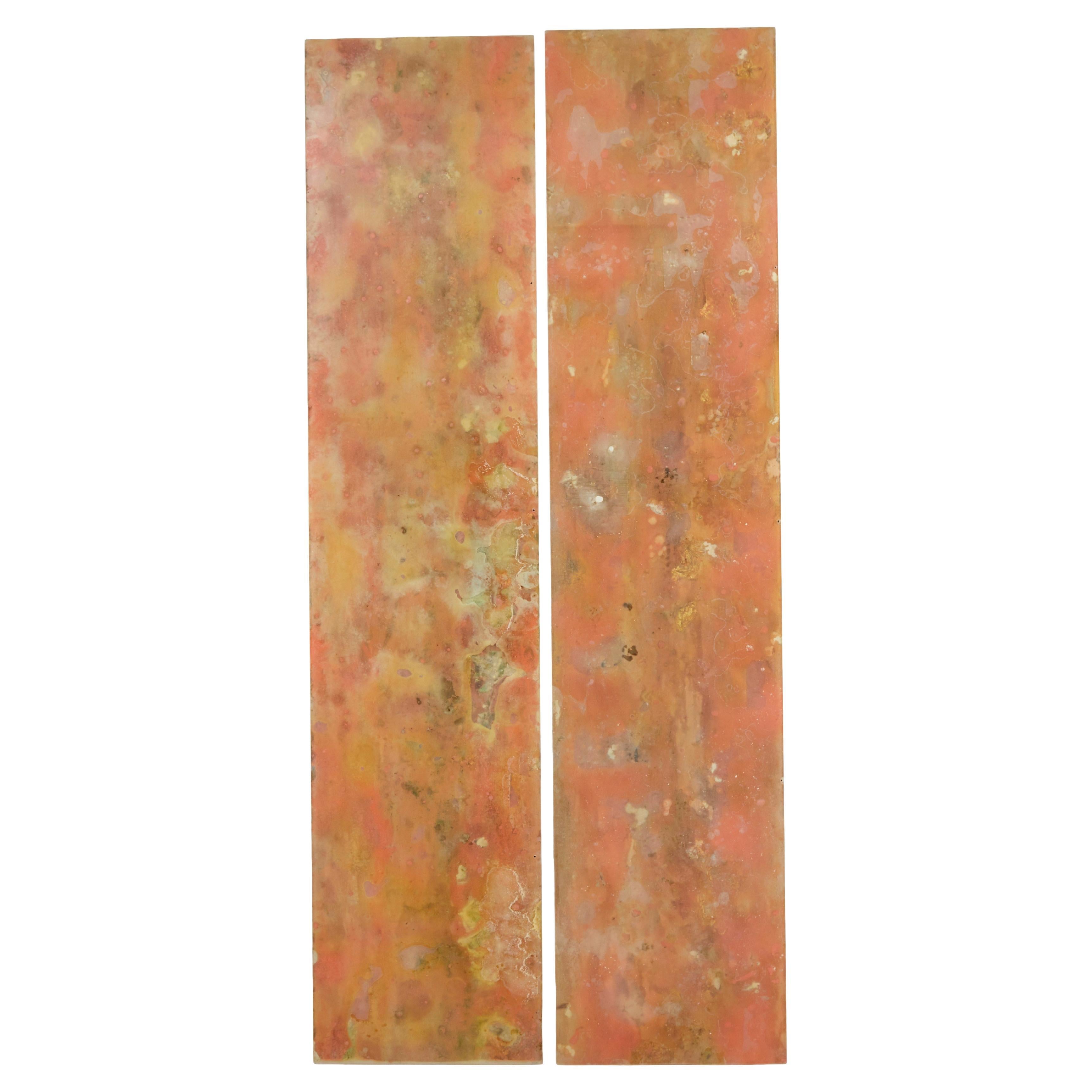 Pair of French 1950’s abstract acrylic panels For Sale