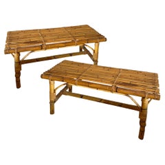 Pair of French 1960s Bamboo Benches