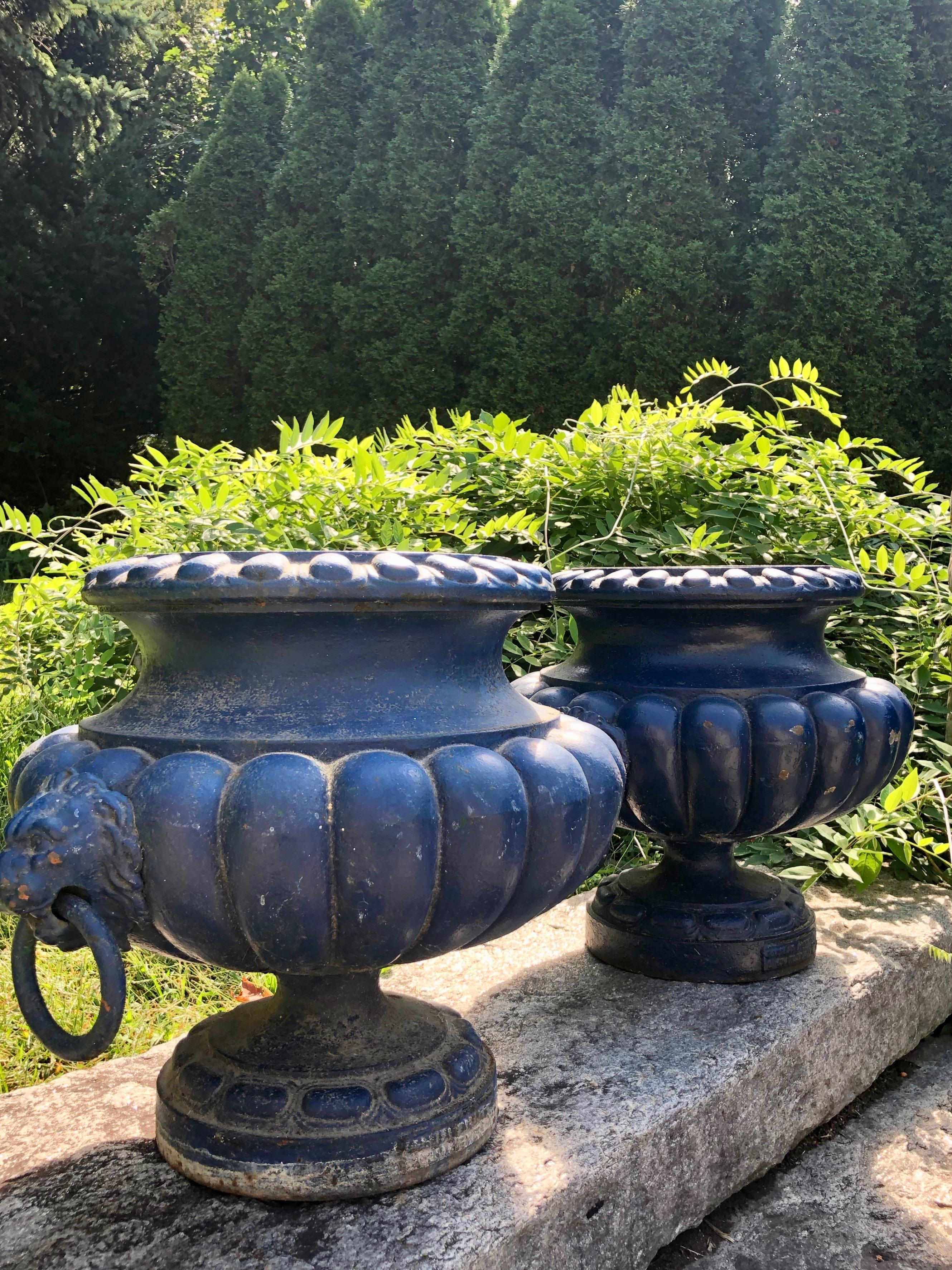 We love the form and striking blue color of these urns, made circa 1880 in France and signed by the maker, Alfred Corneau. In perfect condition, there are some chips to the paint, commensurate with age, that do not affect look or integrity. Plant