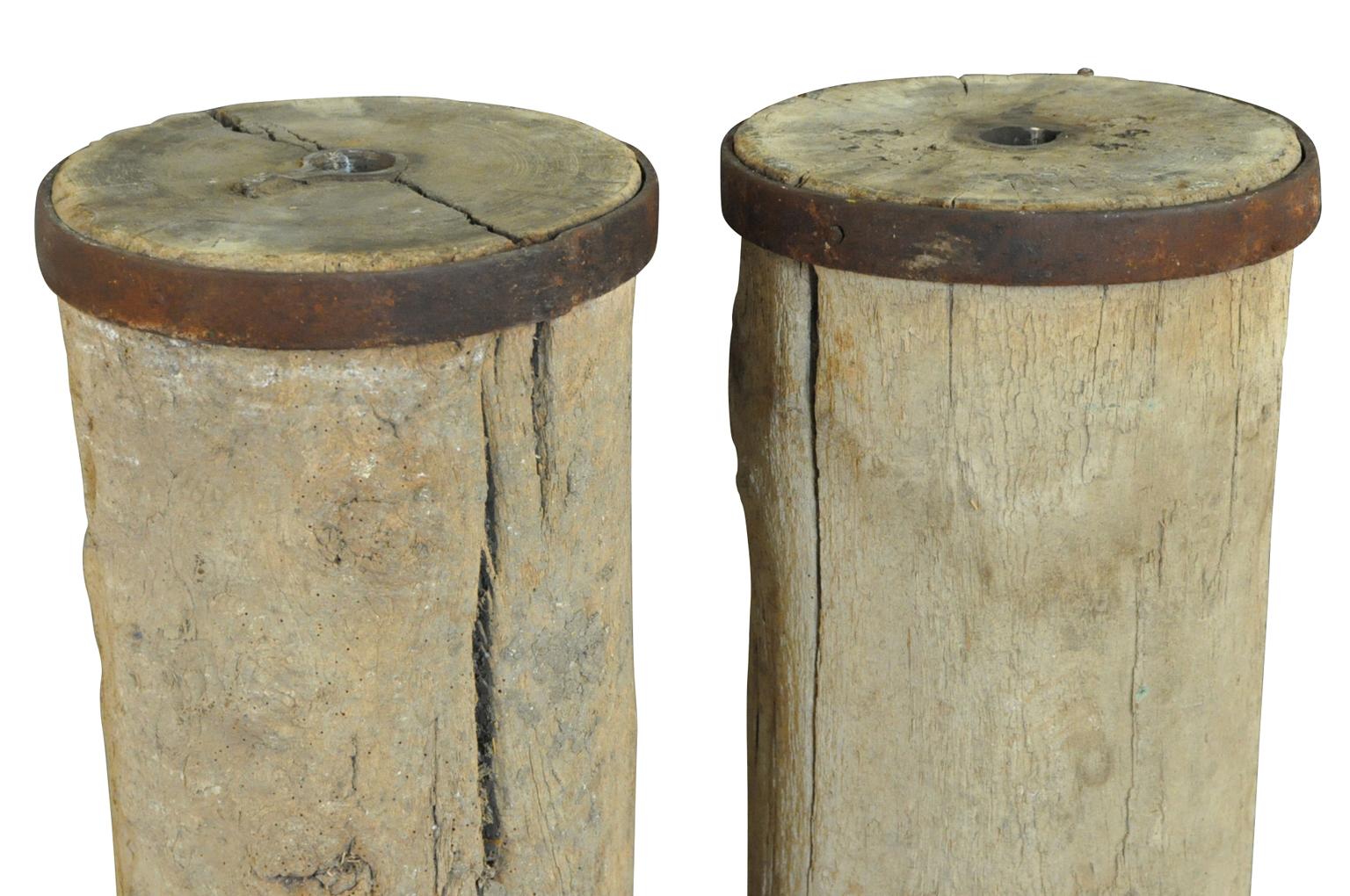 Pair of French 19th Century Agricultural Elements, Pedestals 2