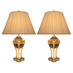 Pair of French 19th Century Belle Époque Period Marble and Ormolu Lamps