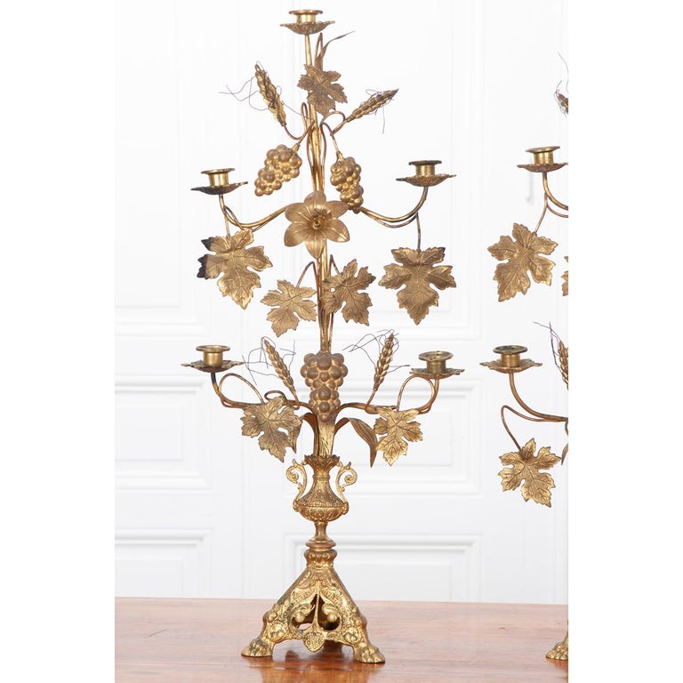 A beautiful pair of French candelabra, featuring a harvest motif of wheat, grapes, grape leaves and lily blossoms. The wheat and grapes represent communion bread and wine and the lily represents Christ. Each candelabrum has four arms and five
