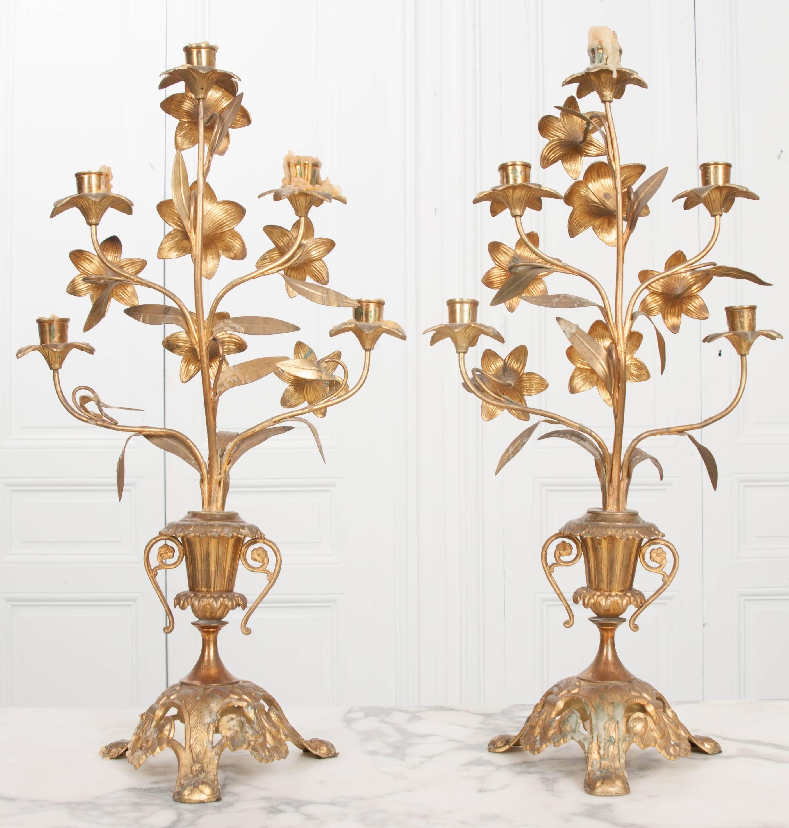 Pair of French 19th Century Brass Altar Candelabras 6