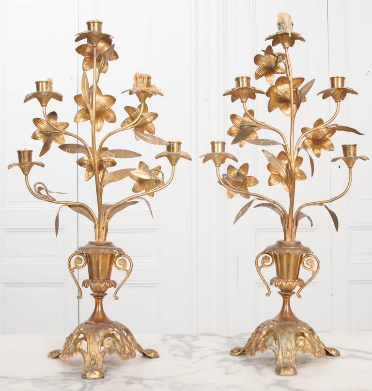 Pair of French 19th Century Brass Altar Candelabras at 1stDibs