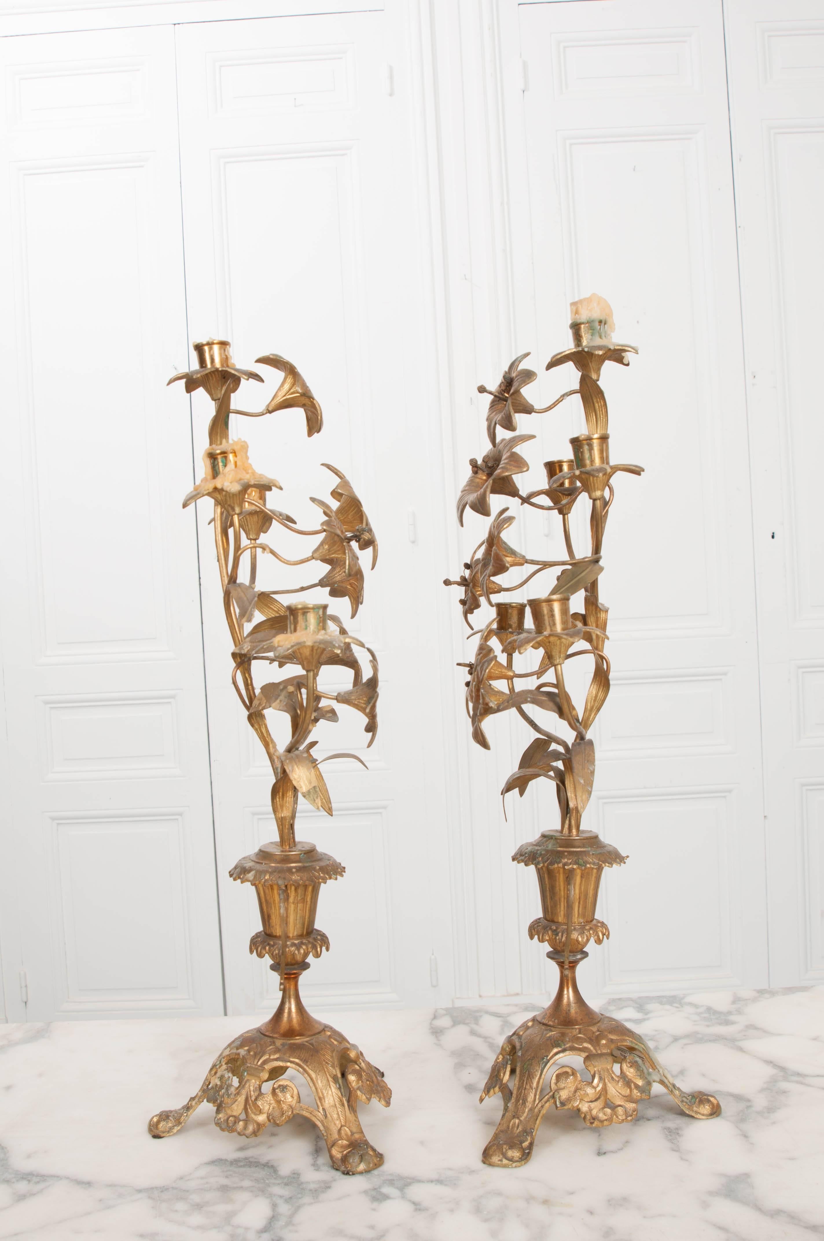 Pair of French 19th Century Brass Altar Candelabras 7