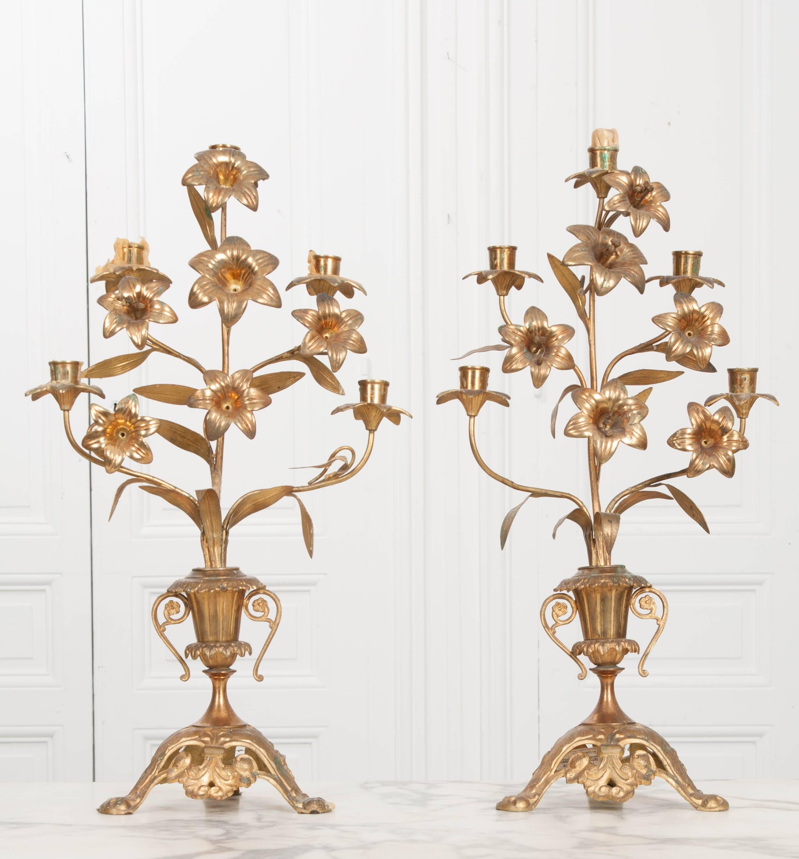 A pair of fine brass altar candelabras from 19th century France. Each candelabra holds five taper candles and are styled with wonderful brass lilies and foliage. The floral bouquet extends from a styled urn. The urn rests atop an ornately styled
