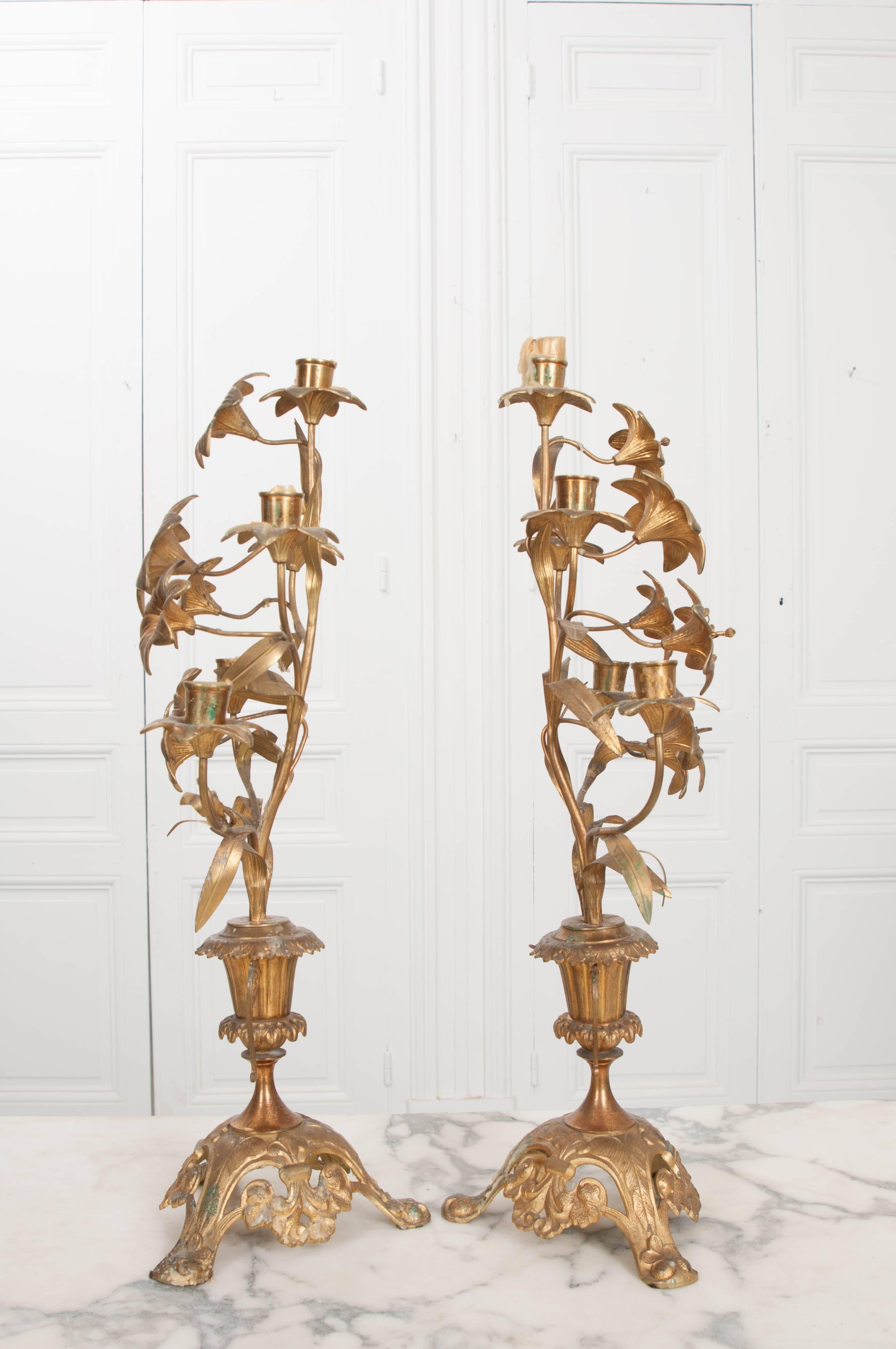 Pair of French 19th Century Brass Altar Candelabras 5