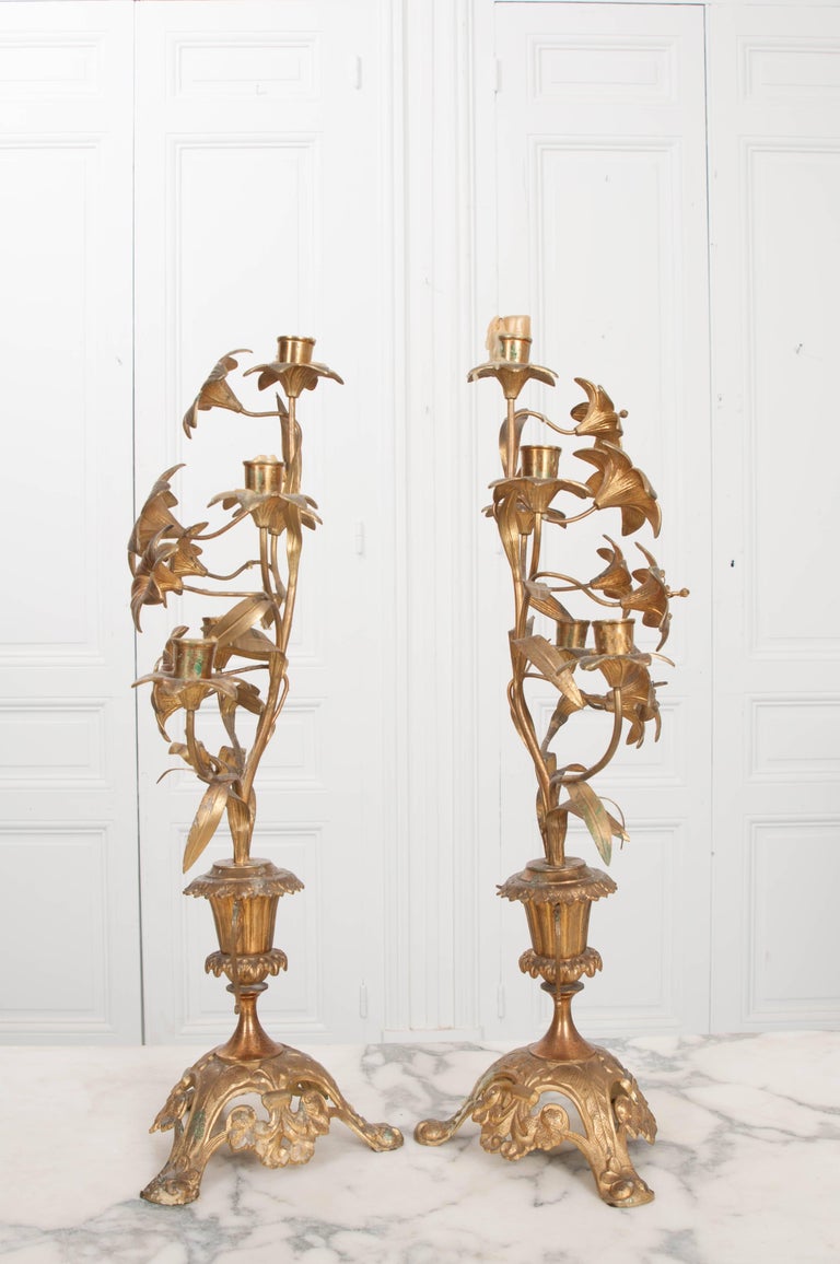 Pair of French 19th Century Brass Altar Candelabras at 1stDibs