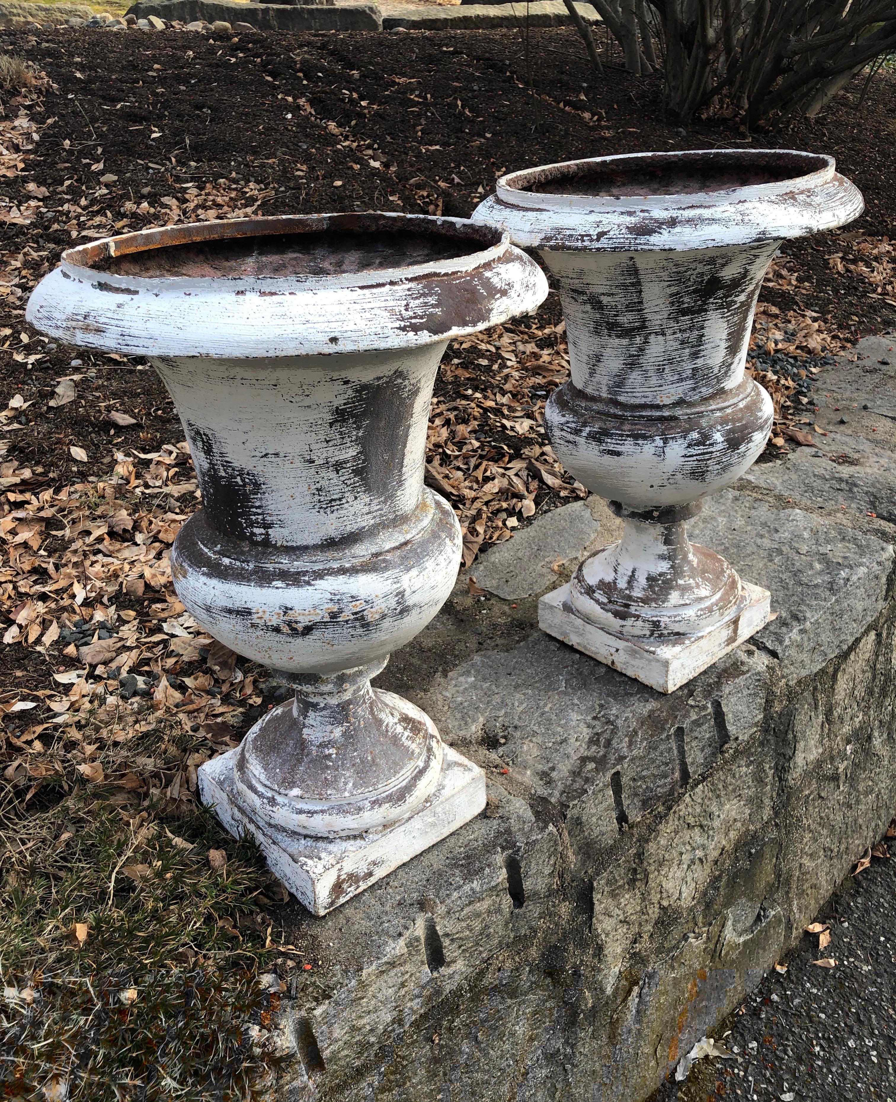 The size, age, and classical form of these 19th century French cast iron Medici urns is what makes them special. Although they have recently been washed with a sweep of white paint, their true age shows through on the interior and they are in