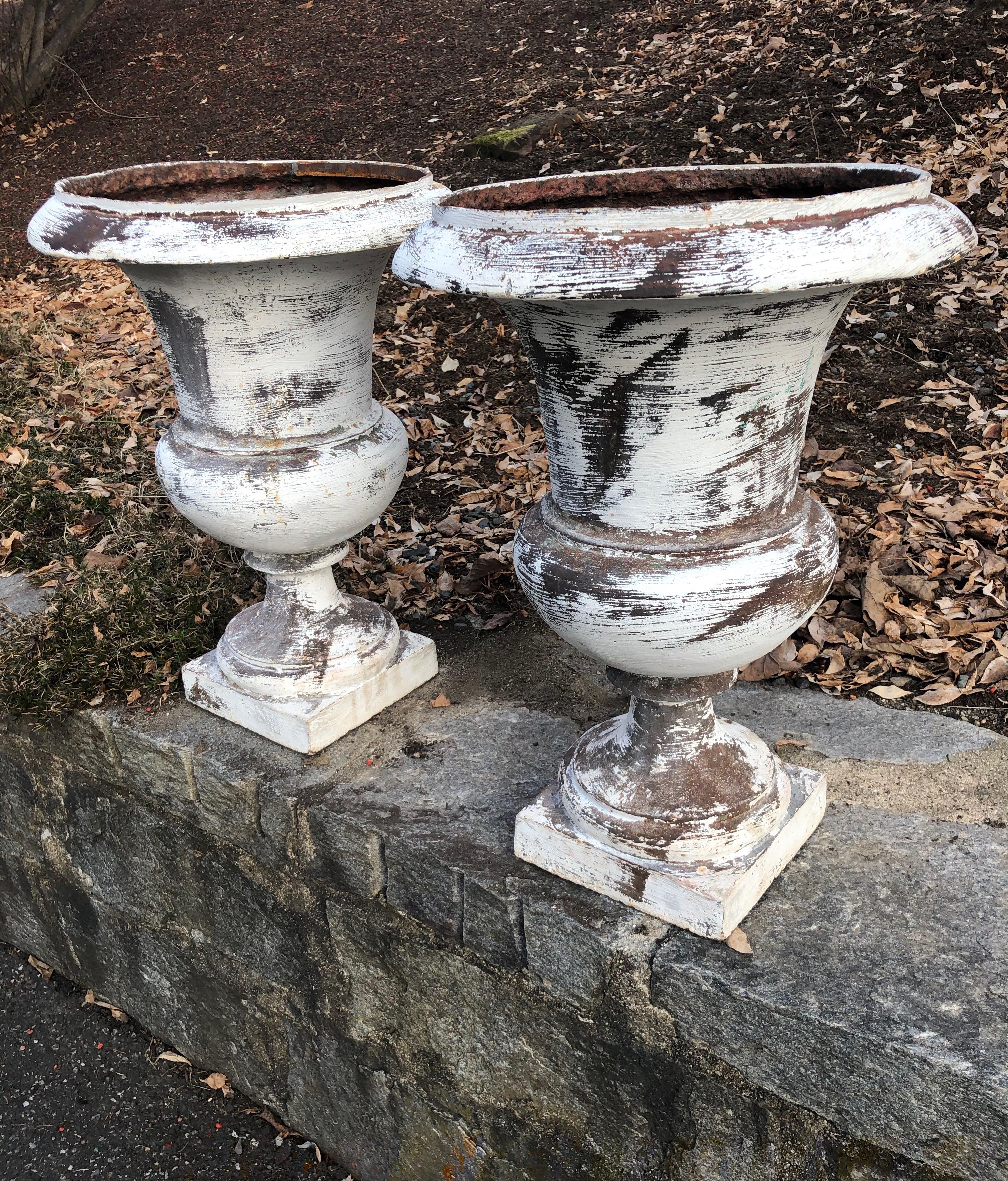 Napoleon III Pair of French 19th Century Cast Iron Medici Urns For Sale