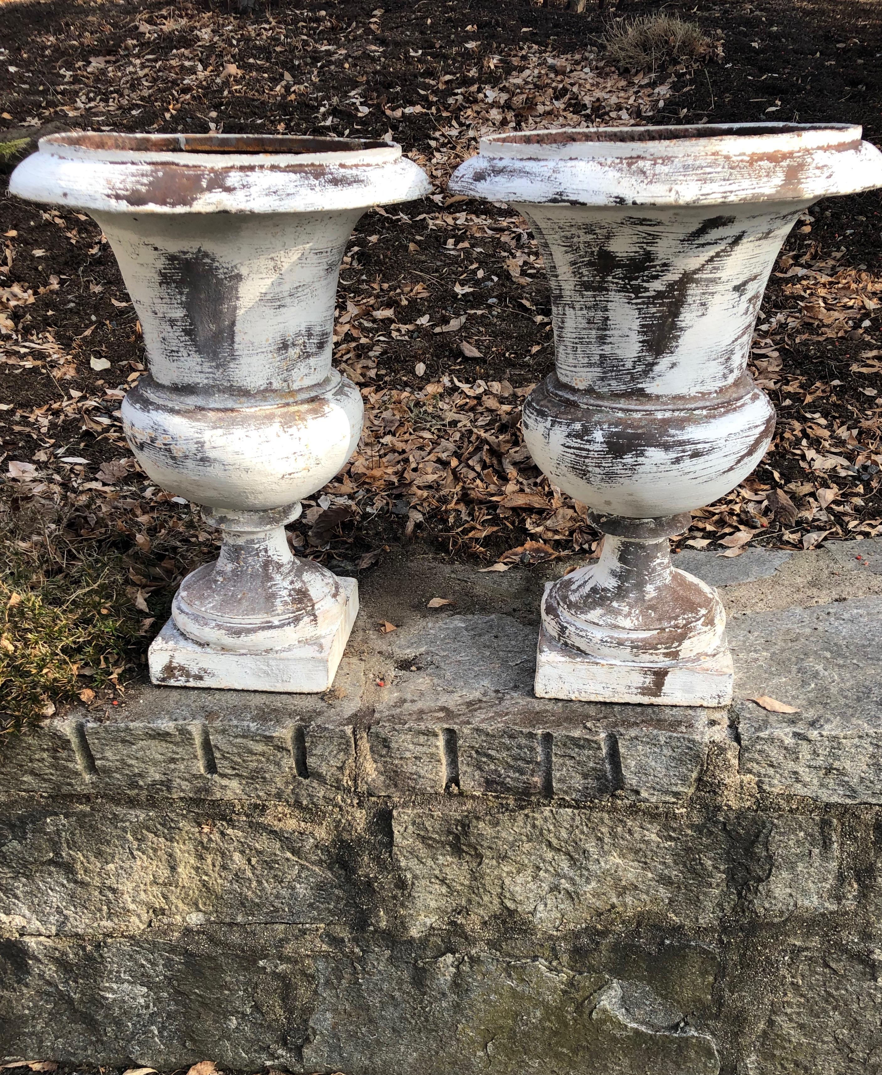 Pair of French 19th Century Cast Iron Medici Urns In Good Condition For Sale In Woodbury, CT