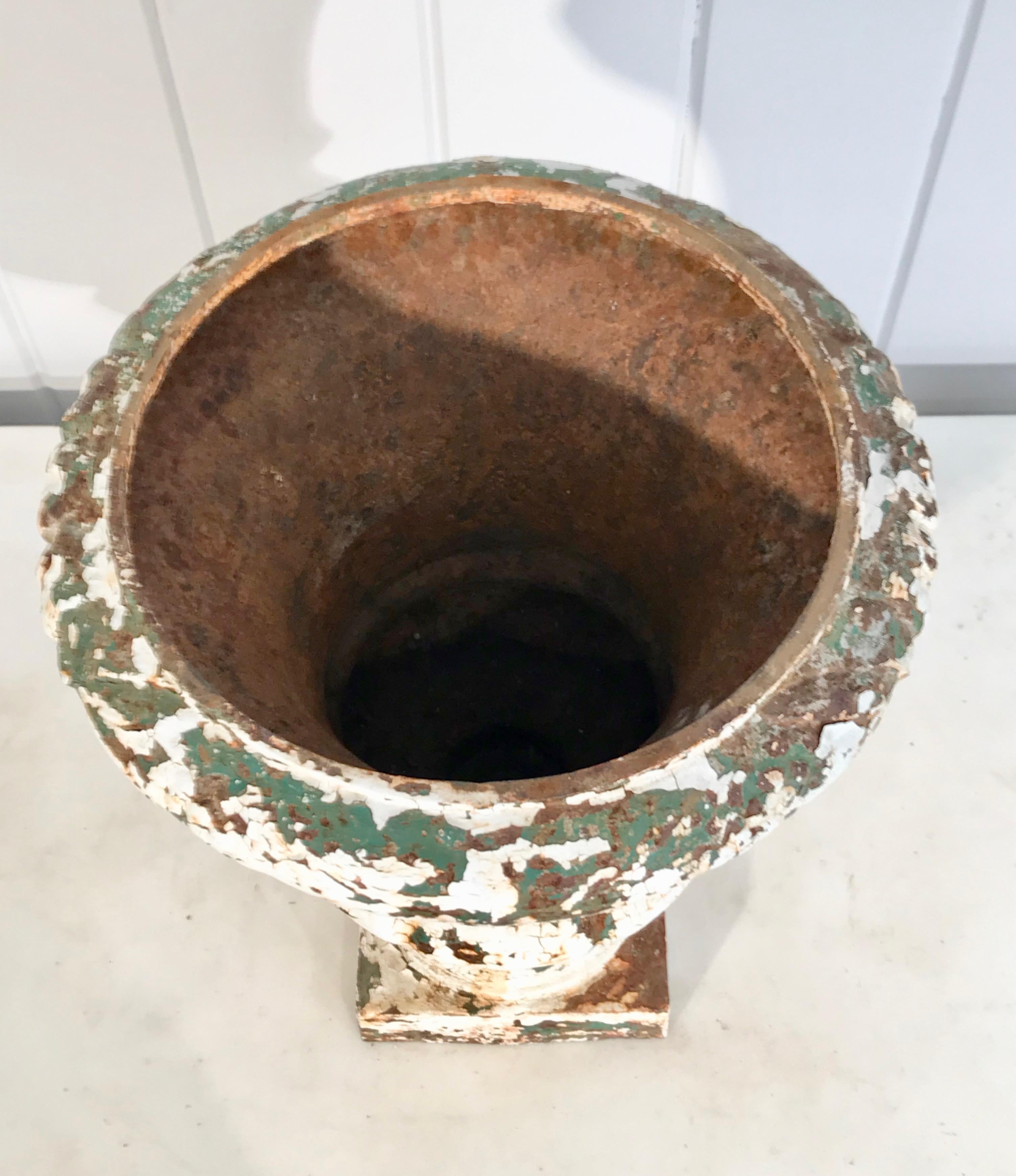 Pair of French 19th Century Cast Iron Medici Urns in Old Painted Surface For Sale 6