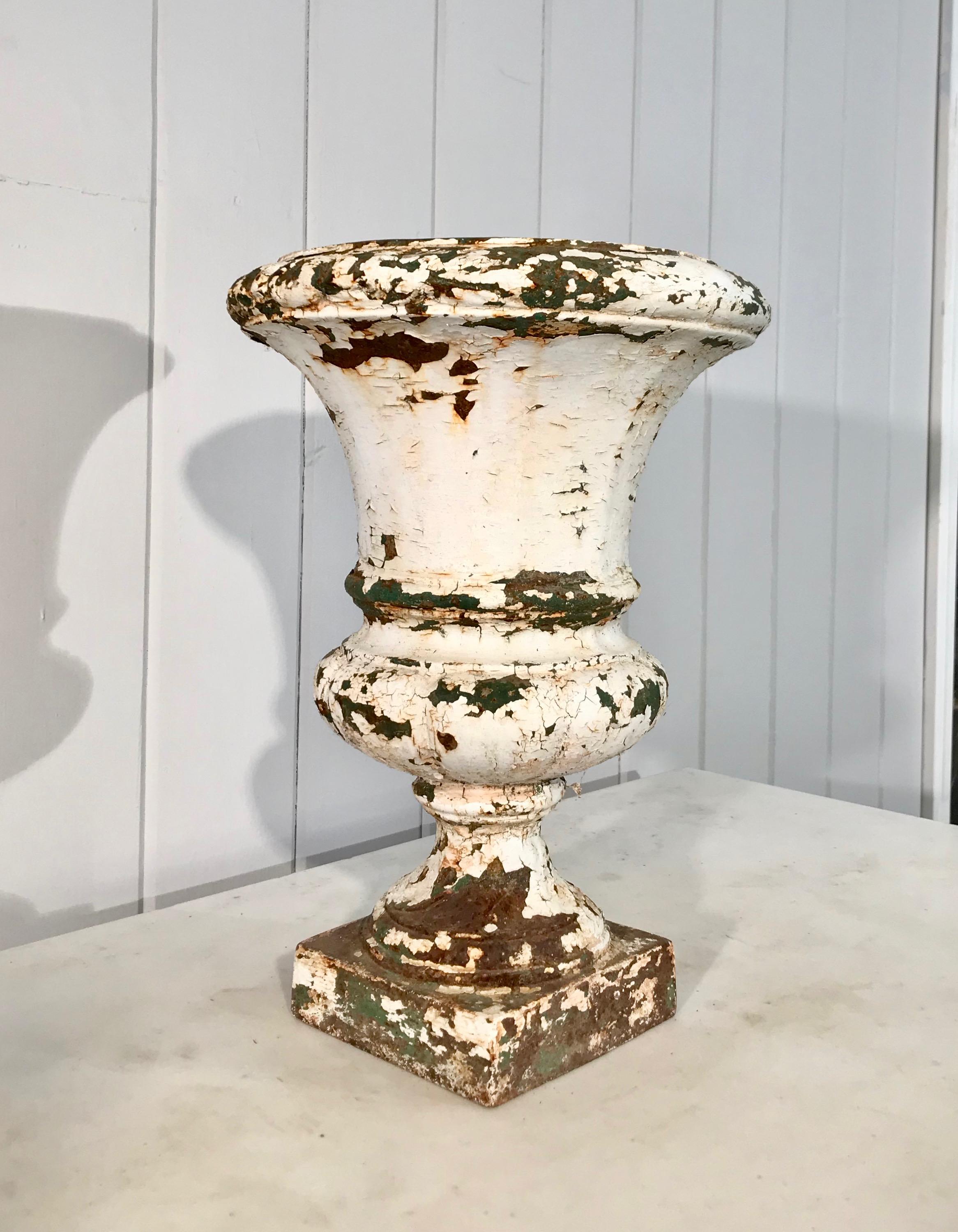Pair of French 19th Century Cast Iron Medici Urns in Old Painted Surface For Sale 8