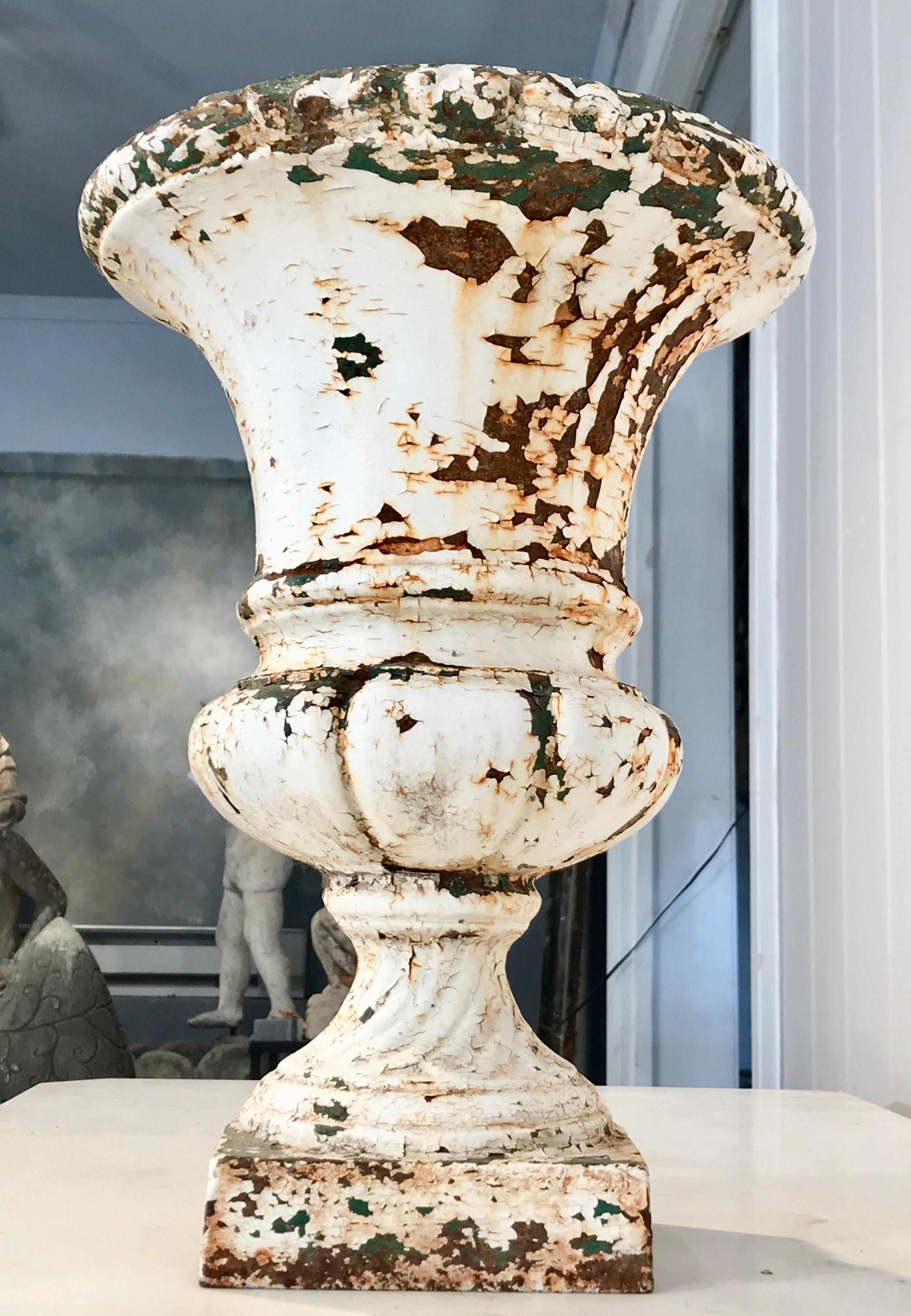 Pair of French 19th Century Cast Iron Medici Urns in Old Painted Surface For Sale 3