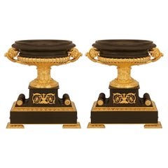 Antique pair of French 19th century Charles X st. Ormolu and patinated Bronze urns