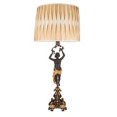 Paar französische Lampen aus patinierter Bronze und Goldbronze im Stil von Charles X. des 19. Jahrhunderts