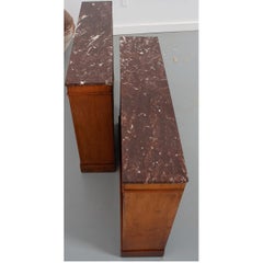 Pair of French 19th Century Empire-Style Bookcases