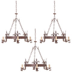 Pair of French 19th Century Iron Six-Light Chandeliers