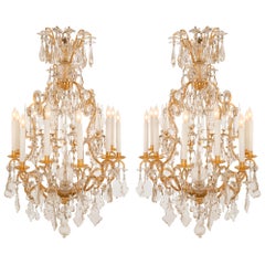 Pair of French 19th Century Louis XV St. Ormolu and Baccarat Crystal Chandelier