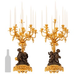 Pair of French 19th century Louis XV st. patinated Bronze and Ormolu candelabras