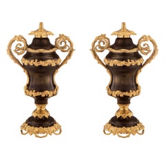 Pair of French 19th Century Louis XV Style Bronze and Ormolu Lamps