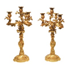 Coppia di oggetti in stile Luigi XV francese del XIX secolo  Candelabri in bronzo dorato