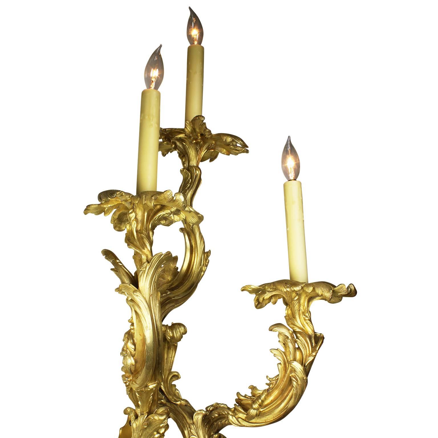 Pair of French 19th Century Louis XV Style Three-Light Gilt-Bronze Wall Lights For Sale 2