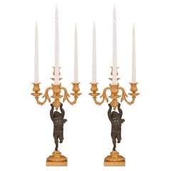 Pair of French 19th Century Louis XVI St. Bronze and Ormolu Candelabras