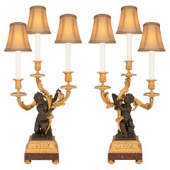 Antique Pair of French 19th Century Louis XVI St. Bronze, Ormolu and Marble Lamps
