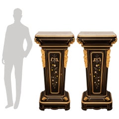 pair of French 19th century Louis XVI st. Ebony, Ormolu and Marble pedestals