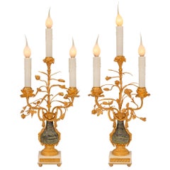 Pair of French 19th Century Louis XVI St. Ormolu and Marble Candelabra Lamps