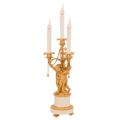 Pair of French 19th Century Louis XVI St. Ormolu and Marble Candelabra Lamps