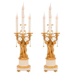 Pair of French 19th Century Louis XVI St. Ormolu and Marble Candelabra Lamps