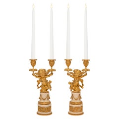 Paire de candélabres français de style Louis XVI du 19ème siècle en bronze doré et marbre