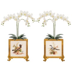Pair Of French 19th Century Louis XVI St. Ormolu And Porcelain De Paris Planters