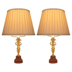 pair of French 19th century  Louis XVI st. Ormolu and Rosso Levanto marble lamps