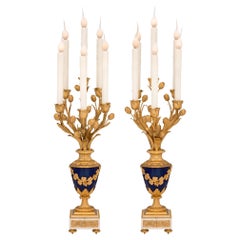 Pair of French 19th Century Louis XVI St. Ormolu and Sèvres Porcelain Lamps