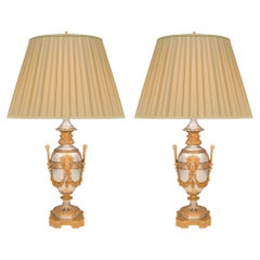 Pair of French 19th Century Louis XVI St. Ormolu and Silvered Bronze Lamps