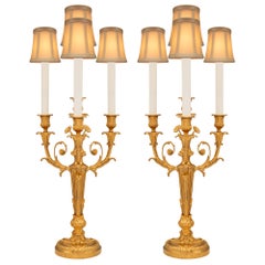 Pair of French 19th Century Louis XVI St. Ormolu Candelabra Lamps