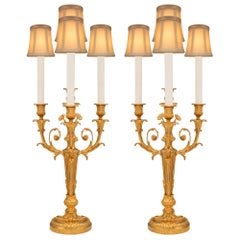 Pair of French 19th Century Louis XVI St. Ormolu Candelabra Lamps