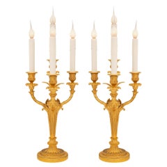 Pair of French 19th Century Louis XVI St. Ormolu Candelabra Lamps